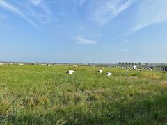 -盐城丹顶鹤湿地生态旅游区