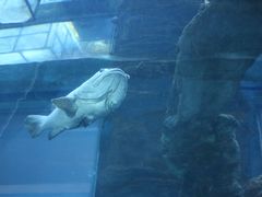 -乐从天佑城海洋馆
