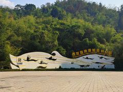 -西双版纳原始森林公园