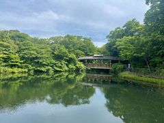 -济州森林小火车生态公园