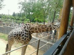 -石家庄市动物园