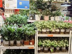 -宜家家居(西安未央商场店)