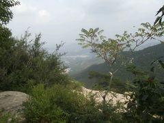 -沂蒙山旅游区云蒙景区(蒙山国家森林公园)
