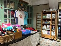 -猫咪博物馆(顶澳仔猫街店)