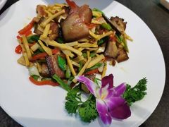 -东哥紫阳蒸盆子(旺座·现代城店)