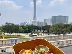 -广州都市观光巴士(粤陶巴)