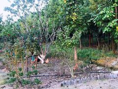 -呼吸森林·生态农庄农家乐私房菜