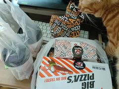 -比格比萨自助(宋家庄店)