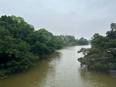 -江心屿景区