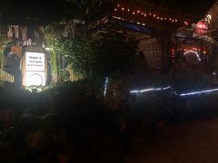 -Jungle Kitchen