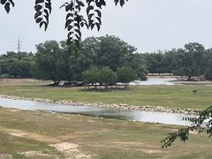 -北京麋鹿生态实验中心