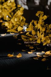 -蘭club婚礼策划