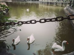 -长安大学(北校区)