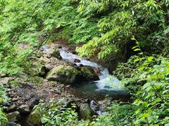-西岭雪山大飞水景区