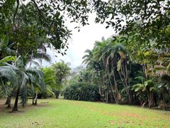 -中国科学院西双版纳热带植物园