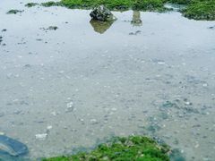 -集美鳌园景区