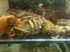 -蓝珊甄选海鲜自助·火锅大排档(近阿那亚店)
