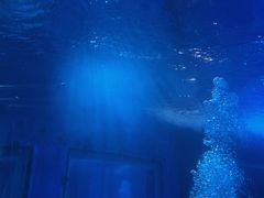 -太平洋海底世界