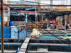 -蓝湾碧波·老字号·疍家非遗海上餐厅