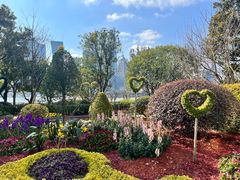 -北外滩滨江绿地