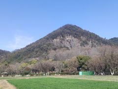 -八卦田遗址公园