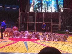 -西安秦岭野生动物园