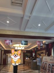 -南京医科大学友谊整形外科医院