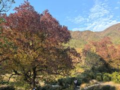 -塔川景区