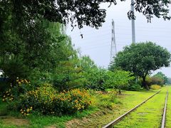 -永定河休闲森林公园