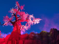 -《神游传奇》秀