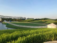 -迪茵湖田家舍生态农场