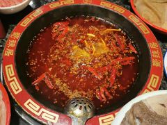 牛油红锅-蜀辣居鲜货老火锅(红牌楼店)
