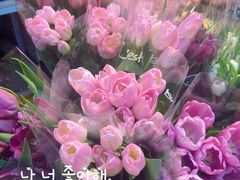 -循礼门鲜花花市(武汉循礼门店)