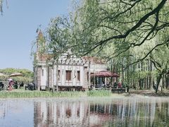 -上海共青森林公园