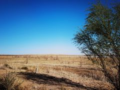 -亿利库布其七星湖沙漠生态旅游区