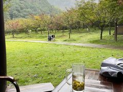 -五泄景区