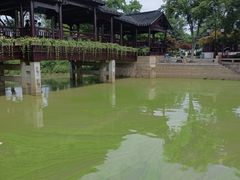 -枫桥景区