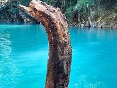 -三门海