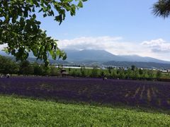 iphone_upload_pic-富田农场
