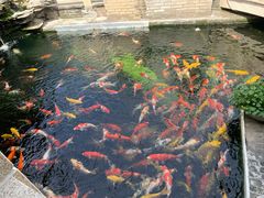 -顺德了能馆(虎门店)