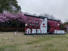 -漕湖湿地公园