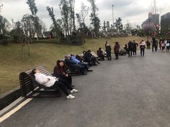 -枫香湖儿童公园