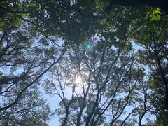 -穹窿山景区