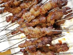 -鼎原力量东北吊炉烧烤(临河街店)