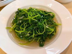 蒜泥米苋-王宝和酒家(黄浦店)