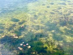 -苏州太湖国家湿地公园