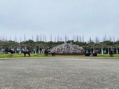 -上海海湾国家森林公园