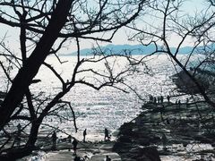 -青岛海滨风景区小鱼山