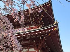 -浅草寺