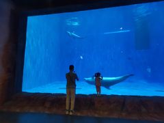 -华夏文旅海洋公园